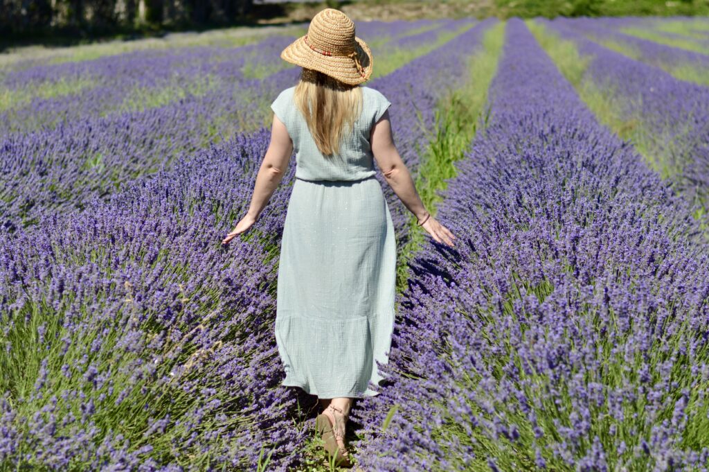 Summer dresses_girl walking in lavender field